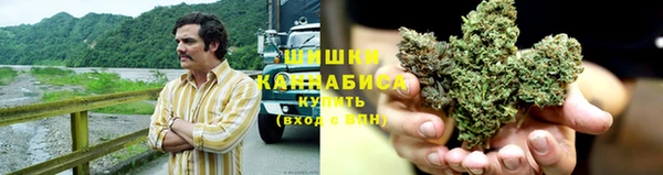 стаф Горно-Алтайск