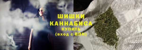 СК Горняк