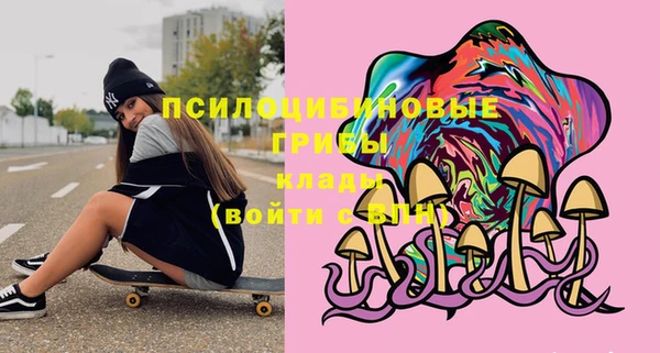 гашиш Горнозаводск