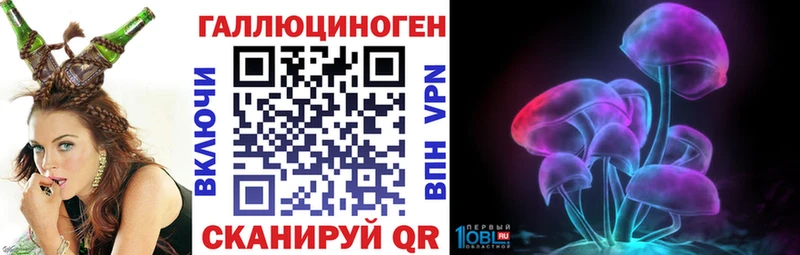 Купить где  Будённовск  Псилоцибиновые грибы Magic Shrooms 